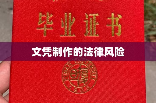 连山文凭制作的法律风险